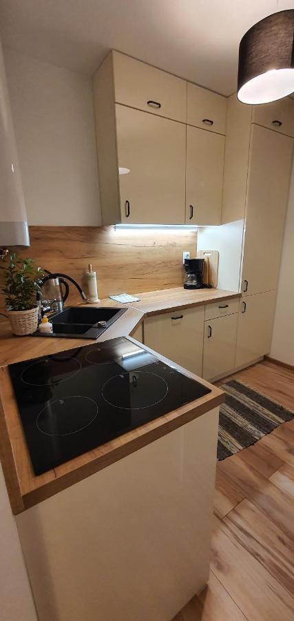 Apartament Lakowa 波兰尼卡-兹德鲁伊 外观 照片